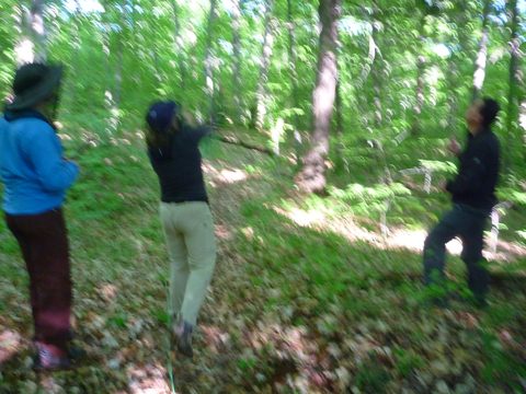 Photo from Introduction to backpacking - A first trip with Tim