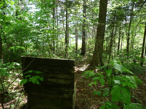 Photo from Introduction to backpacking - A first trip with Tim