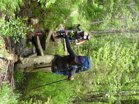 Photo from Introduction to backpacking - A first trip with Tim