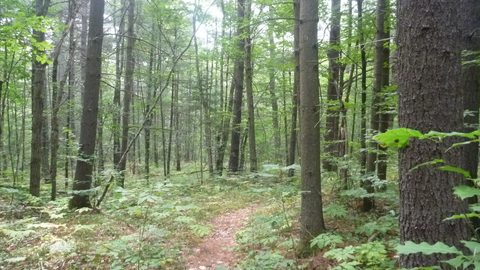 Photo from Trekking with Chev ~ Bon Echo: A backpacking Adventure