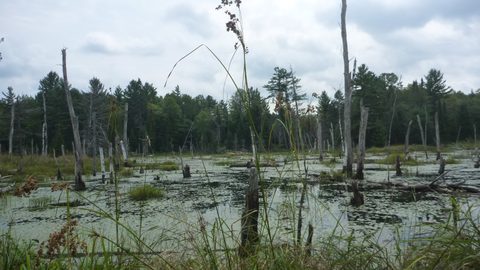 Photo from Trekking with Chev ~ Bon Echo: A backpacking Adventure