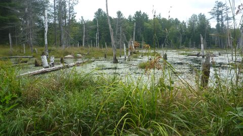 Photo from Trekking with Chev ~ Bon Echo: A backpacking Adventure