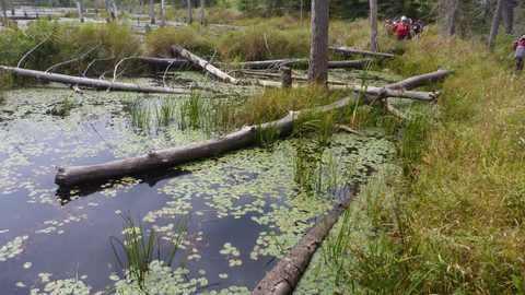 Photo from Trekking with Chev ~ Bon Echo: A backpacking Adventure
