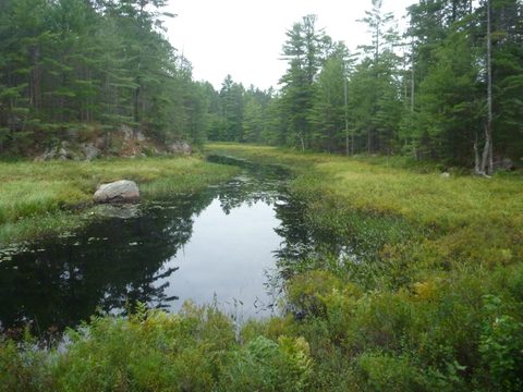 Photo from Trekking with Chev ~ Bon Echo: A backpacking Adventure