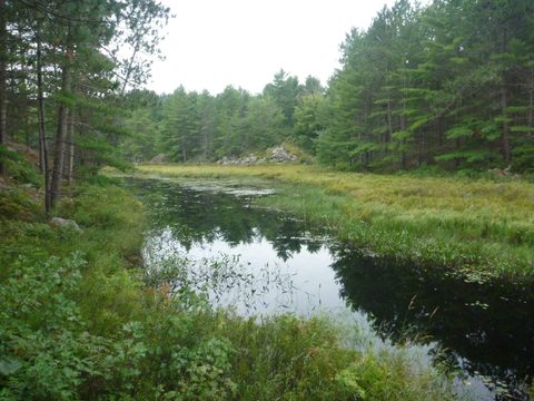 Photo from Trekking with Chev ~ Bon Echo: A backpacking Adventure