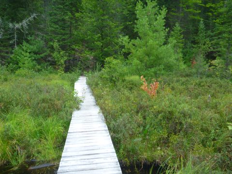 Photo from Trekking with Chev ~ Bon Echo: A backpacking Adventure