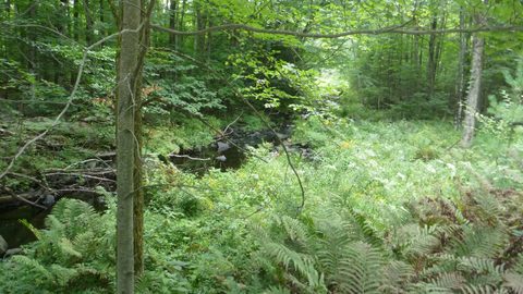 Photo from Trekking with Chev ~ Bon Echo: A backpacking Adventure