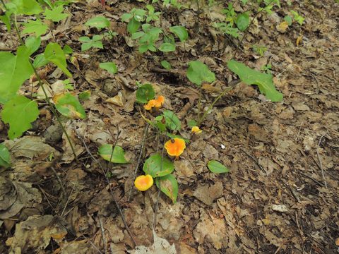 Photo from Trekking with Chev ~ Bon Echo: A backpacking Adventure