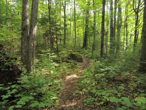 Photo from Trekking with Chev ~ Bon Echo: A backpacking Adventure
