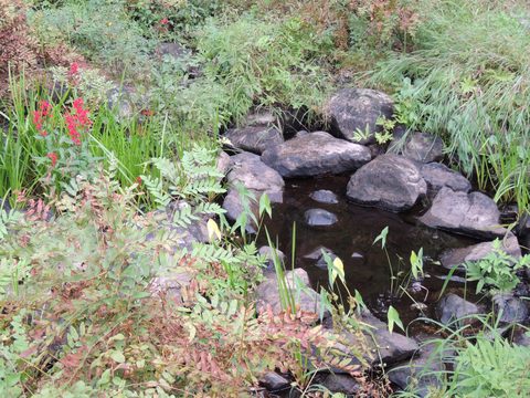 Photo from Trekking with Chev ~ Bon Echo: A backpacking Adventure