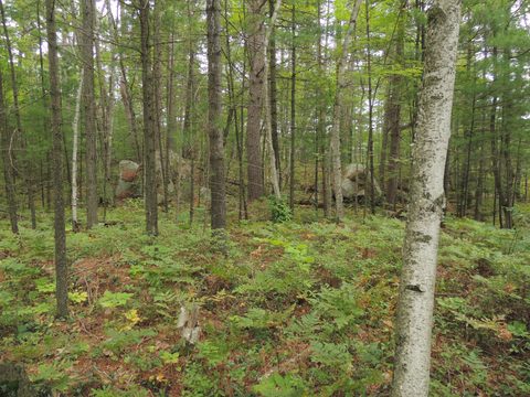 Photo from Trekking with Chev ~ Bon Echo: A backpacking Adventure