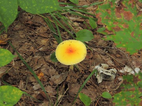 Photo from Trekking with Chev ~ Bon Echo: A backpacking Adventure