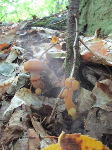 Photo from Trekking with Chev ~ Bon Echo: A backpacking Adventure