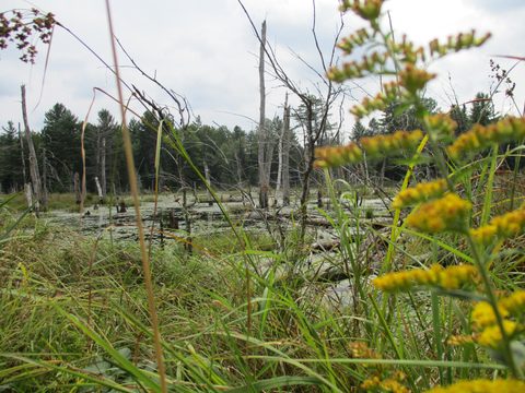 Photo from Trekking with Chev ~ Bon Echo: A backpacking Adventure