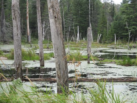Photo from Trekking with Chev ~ Bon Echo: A backpacking Adventure