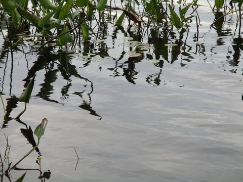 Photo from Trekking with Chev ~ Bon Echo: A backpacking Adventure