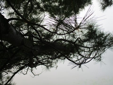 Photo from Trekking with Chev ~ Bon Echo: A backpacking Adventure