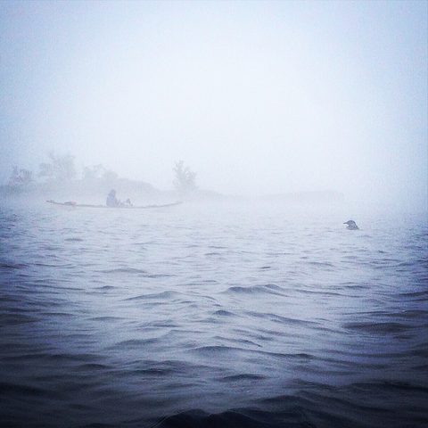 Loon in the foreground 