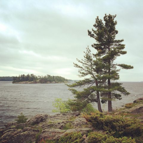 Photo from Kayaking Franklin Island...because weekends are for paddling!