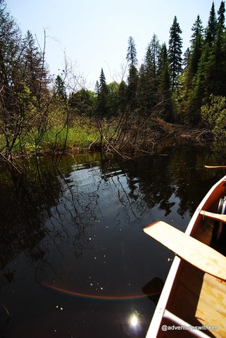 Photo from Temagami Long Weekend