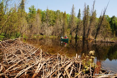 Photo from Temagami Long Weekend