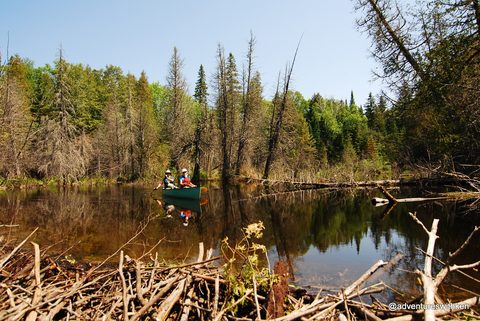 Photo from Temagami Long Weekend