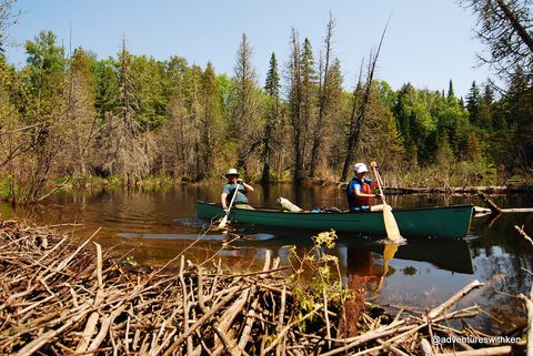 Photo from Temagami Long Weekend