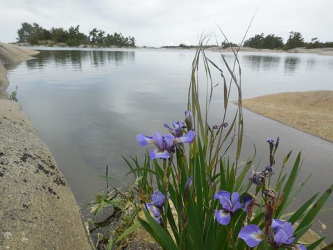 Photo from Kayaking, Philip Edward Island, Killarney
