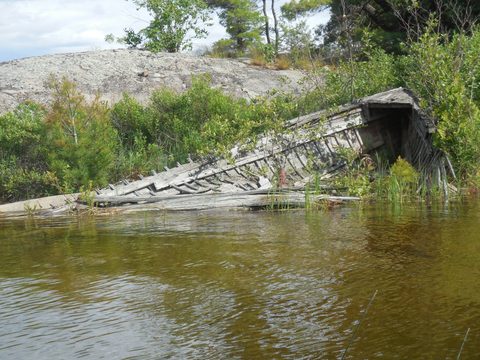 Photo from Kayaking, Philip Edward Island, Killarney