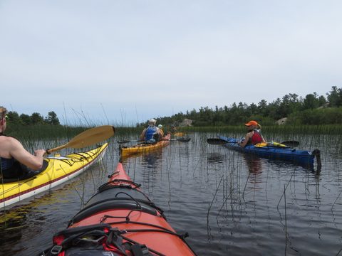 Photo from Kayaking, Philip Edward Island, Killarney