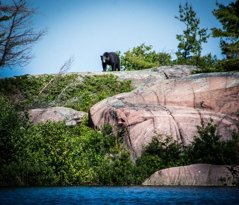 Photo from Kayaking, Philip Edward Island, Killarney