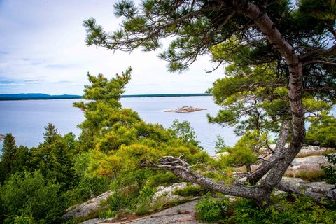 Photo from Kayaking, Philip Edward Island, Killarney