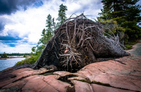 Photo from Kayaking, Philip Edward Island, Killarney