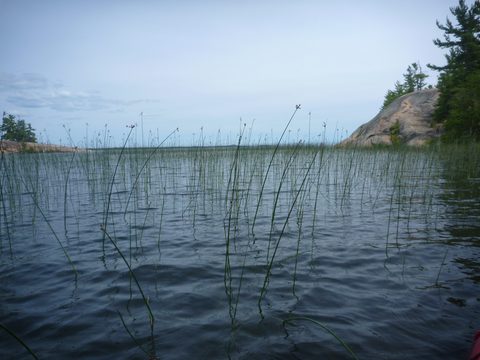 Photo from Kayaking, Philip Edward Island, Killarney