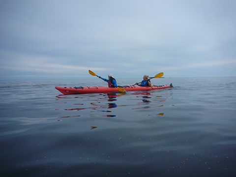 Photo from Kayaking, Philip Edward Island, Killarney