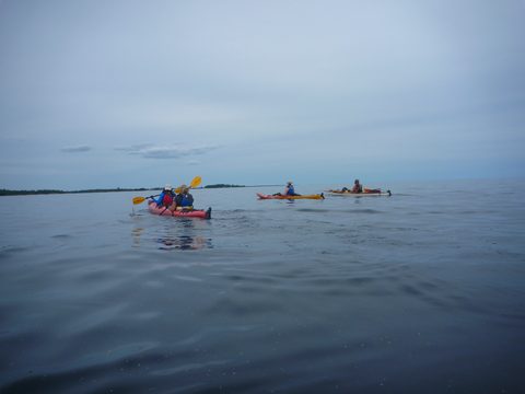 Photo from Kayaking, Philip Edward Island, Killarney