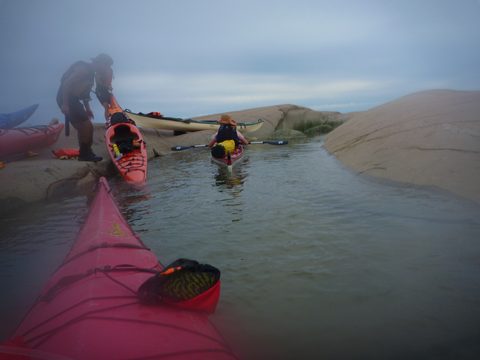 Photo from Kayaking, Philip Edward Island, Killarney