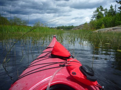 Photo from Kayaking, Philip Edward Island, Killarney