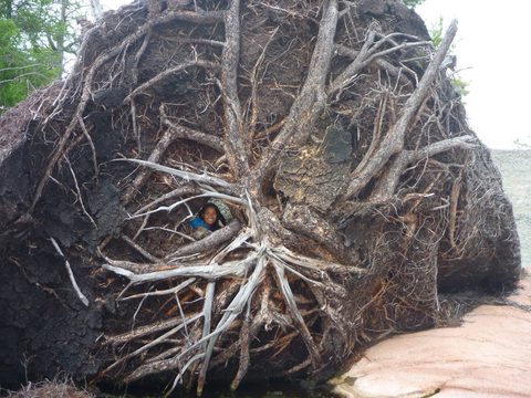 Photo from Kayaking, Philip Edward Island, Killarney