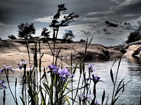 Photo from Kayaking, Philip Edward Island, Killarney