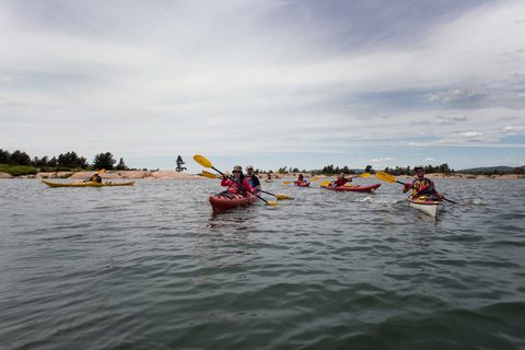 Photo from Kayaking, Philip Edward Island, Killarney