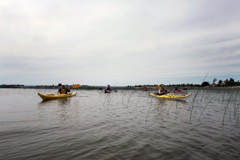 Photo from Kayaking, Philip Edward Island, Killarney