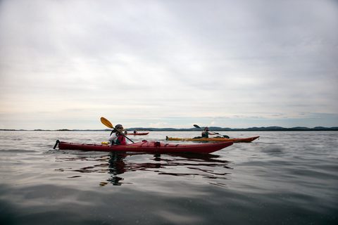 Photo from Kayaking, Philip Edward Island, Killarney