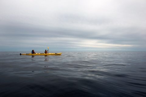 Photo from Kayaking, Philip Edward Island, Killarney