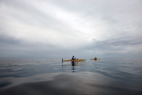 Photo from Kayaking, Philip Edward Island, Killarney