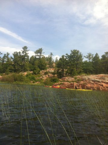 Photo from Kayaking, Philip Edward Island, Killarney