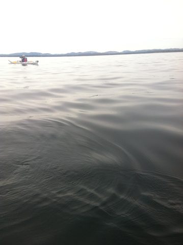 Photo from Kayaking, Philip Edward Island, Killarney