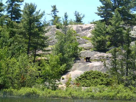 Photo from Kayaking, Deer Island, Georgian Bay, Killarney