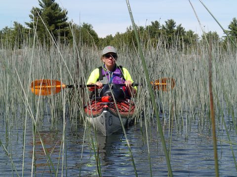 Photo from Kayaking, Deer Island, Georgian Bay, Killarney