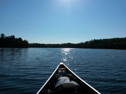 Photo from Canoeing, The Massasauga Provincial Park, Three Legged Lake to Clear Bay